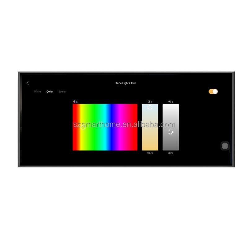 Smart Control Panel Supplier - OEM/ODM 12-Inch Tuya Zigbee 2-Channel Amplifier Touch