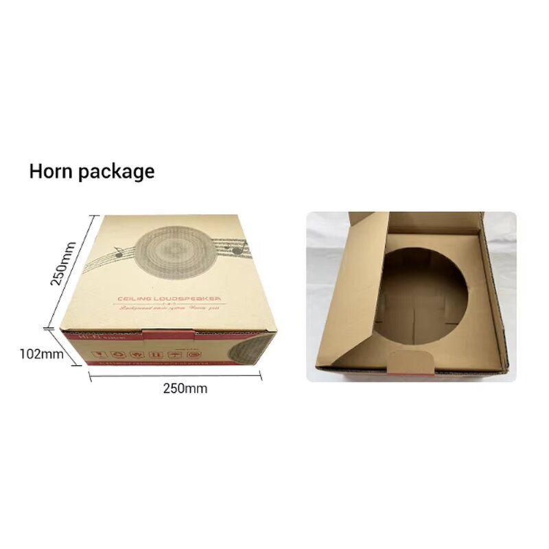 Wireless Ceiling Speaker Manufacturer - OEM/ODM High Quality 5.25 Inch Master OLED BLE