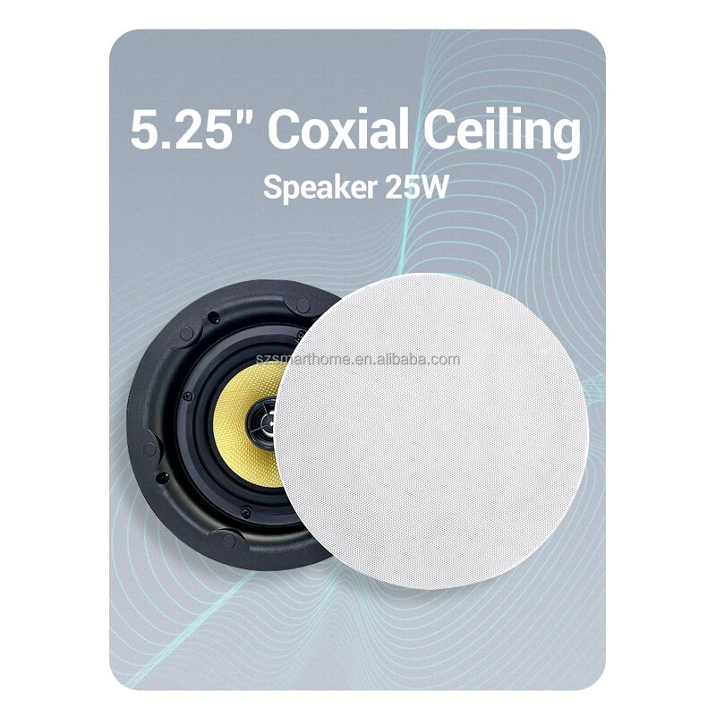 Ceiling Speaker Factory - OEM/ODM 5.25 Inch Wired Ceiling Speaker 20W Wireless Amplifier
