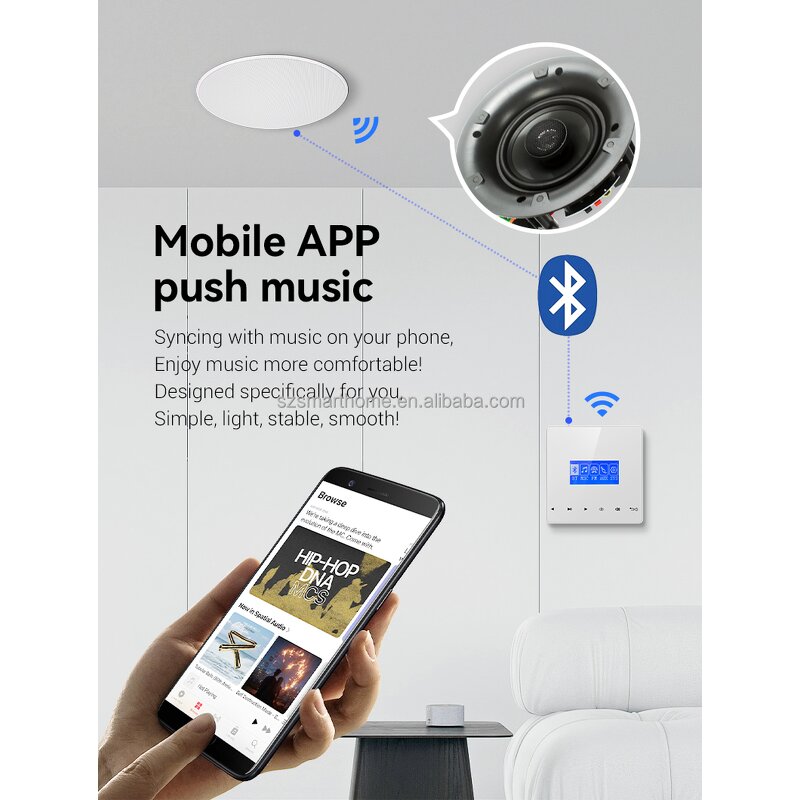 Music Host Factory - OEM/ODM 4-Inch Background Music Host with FM Radio Control