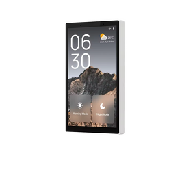 Touch Panel Manufacturer - OEM/ODM 5 Inch US Standard Touch Screen Alexa Voice Assistant