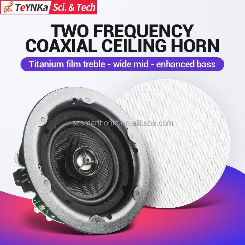 Passive Ceiling Speakers Supplier - OEM/ODM 5.25 Inch Passive Hifi Ceiling Speakers Wall