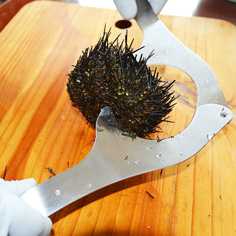 Seafood Tool Set Factory - OEM Stainless Steel Eco-Friendly Durable Urchin Cutter Opener