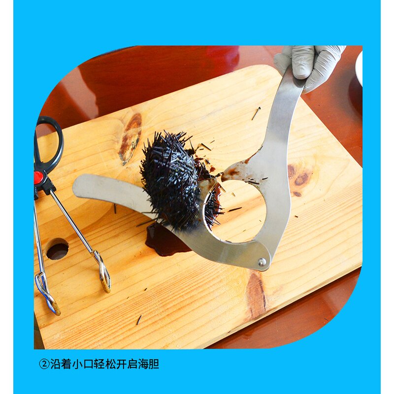 Seafood Tool Set Factory - OEM Stainless Steel Eco-Friendly Durable Urchin Cutter Opener