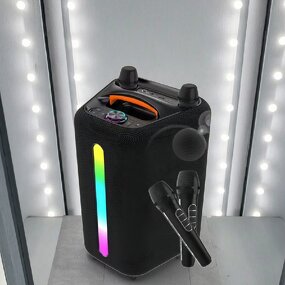 Portable Outdoor Speaker Manufacturer - OEM/ODM Camping Essentials 6.5inch Music 2 Microphone