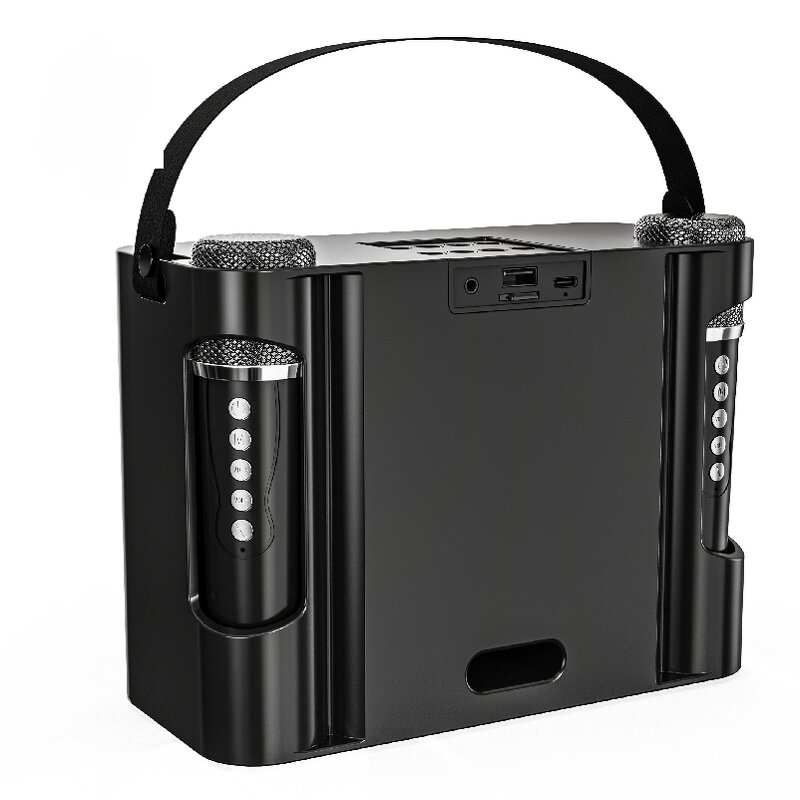 Karaoke Speaker Factory - OEM/ODM Camping Essentials Party Box Led Light Bt Amplifier