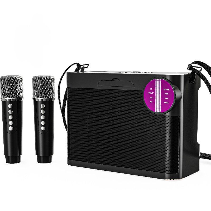 Karaoke Speaker Factory - OEM/ODM Camping Essentials Party Box Led Light Bt Amplifier