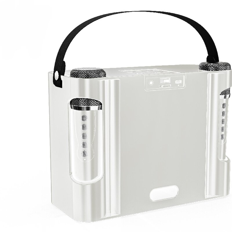 Karaoke Speaker Factory - OEM/ODM Camping Essentials Party Box Led Light Bt Amplifier