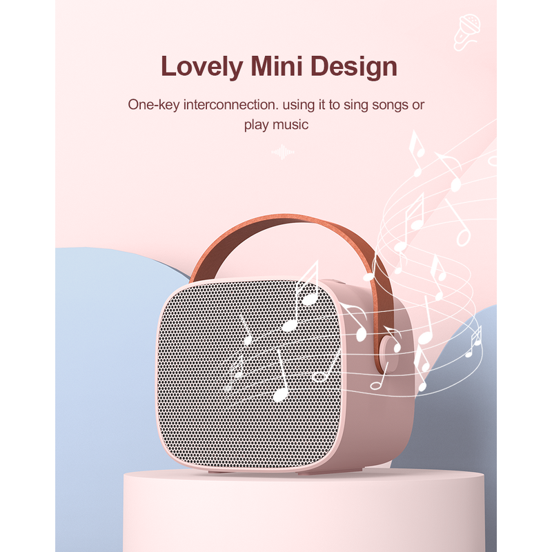 Mini Wireless Speaker Factory - OEM 2024 HIFI BT Speaker With Microphone Karaoke