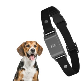 Sleep Aid Device Supplier - OEM 2025 Hot New Creative White Noise Timer Function