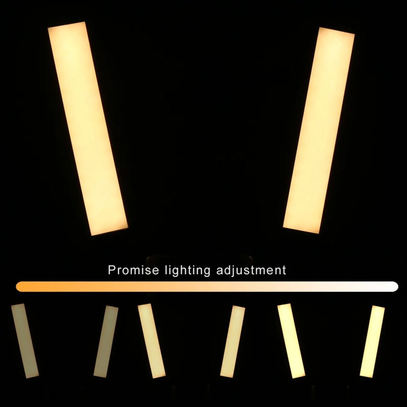 LED Ring Light Factory - OEM Photography Lighting Double Arm Eyelash Extension