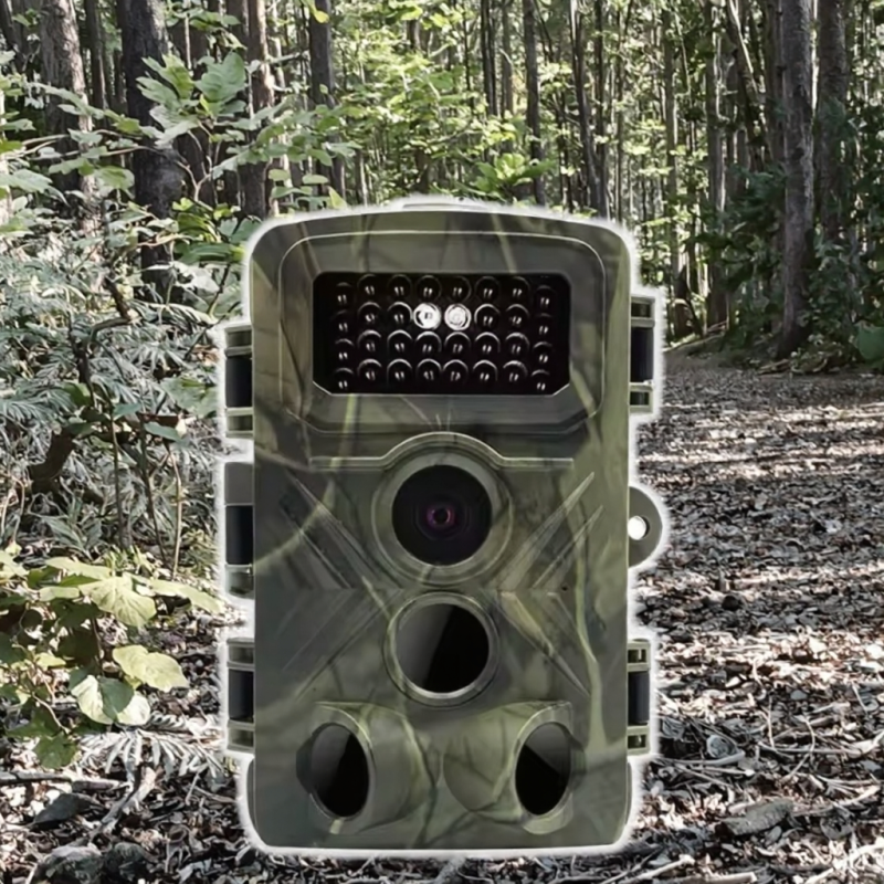 Wildlife Trail Camera Factory - OEM DH1 1080P IR Night Vision IP66 Waterproof