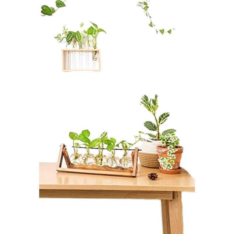 Hydroponic Planter Manufacturer - OEM/ODM New Retro-Style with Wooden Stand Air Bulb Vase