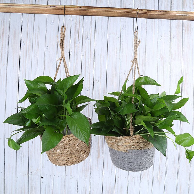 Straw Flowerpot Hanging Basket Supplier - OEM/ODM Woven Handmade Creative Green Bamboo Pot