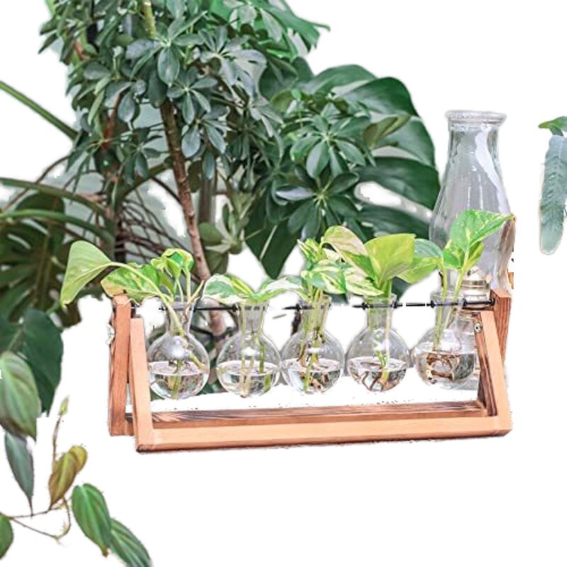 Hydroponic Planter Manufacturer - OEM/ODM New Retro-Style with Wooden Stand Air Bulb Vase
