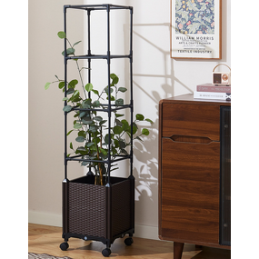 Climbing Vine Box Manufacturer - OEM/ODM Thickened Rectangular Planting for Balcony Outdoor