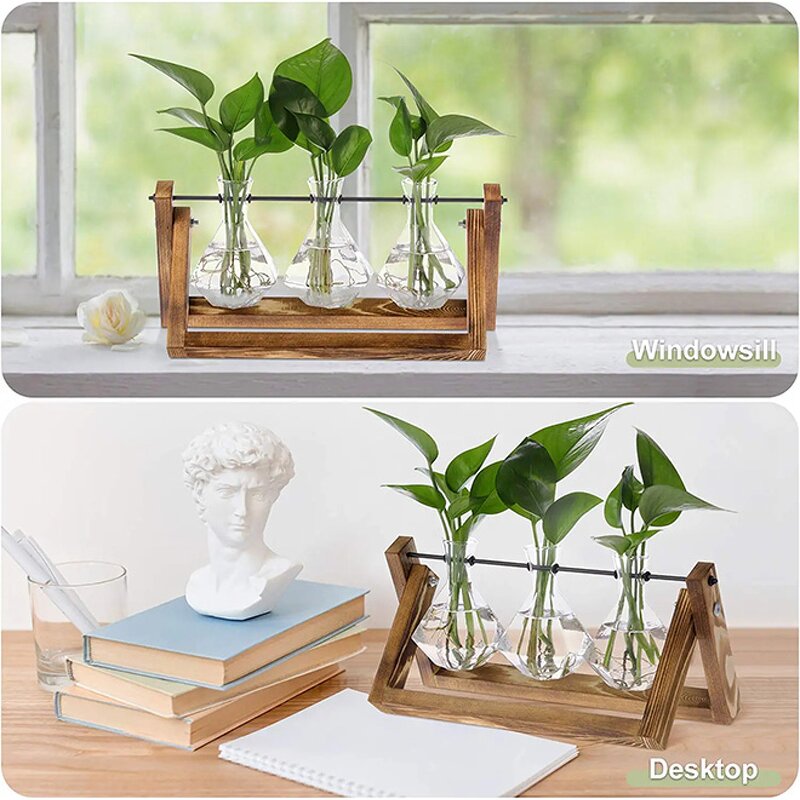 Desktop Air Plant Terrarium Manufacturer - OEM/ODM Dropshipping with Solid Wooden Stand Diamond