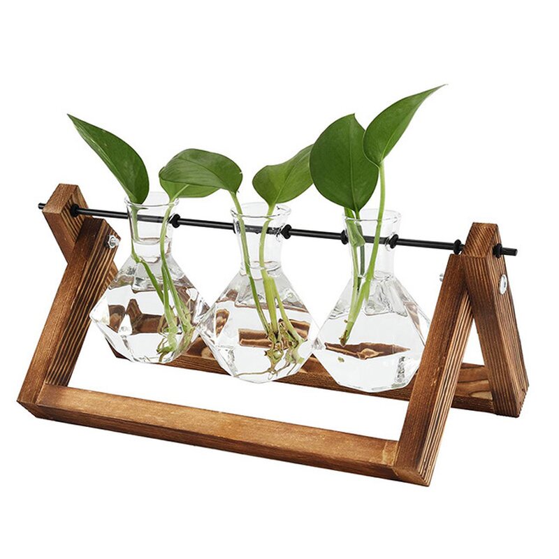 Desktop Air Plant Terrarium Manufacturer - OEM/ODM Dropshipping with Solid Wooden Stand Diamond