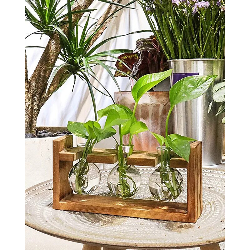 Cylinder-Shaped Terrarium Supplier - OEM/ODM Dropshipping Desktop Glass Planter Wooden Stand