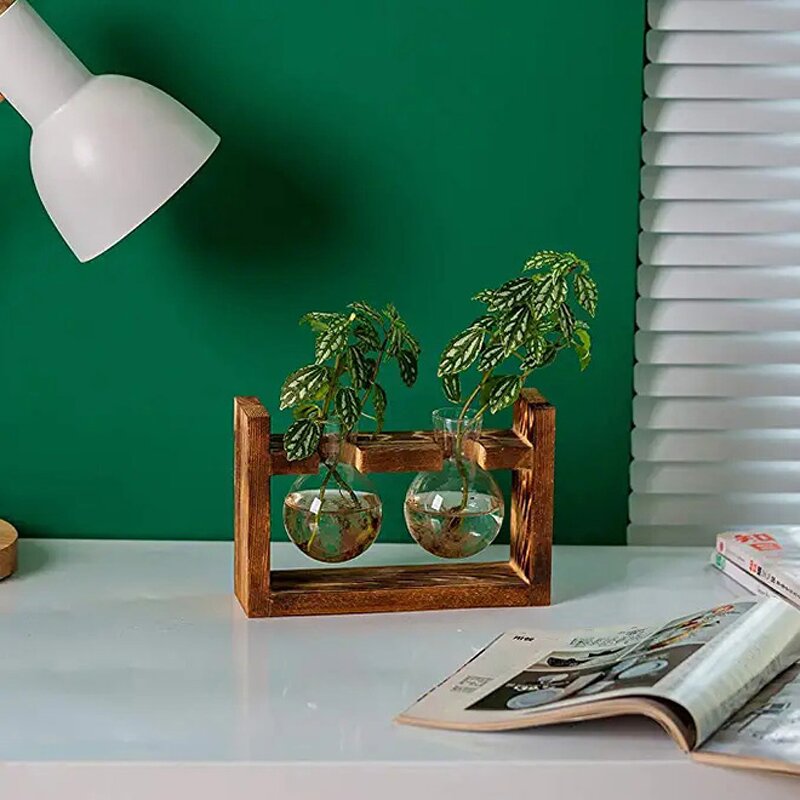 Cylinder-Shaped Terrarium Supplier - OEM/ODM Dropshipping Desktop Glass Planter Wooden Stand