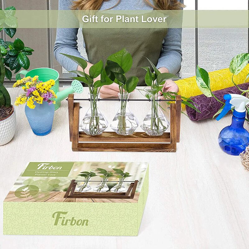 Glass Bulb Vase Factory - Wholesale Clear with Solid Wooden Stand Metal Swivel Holder