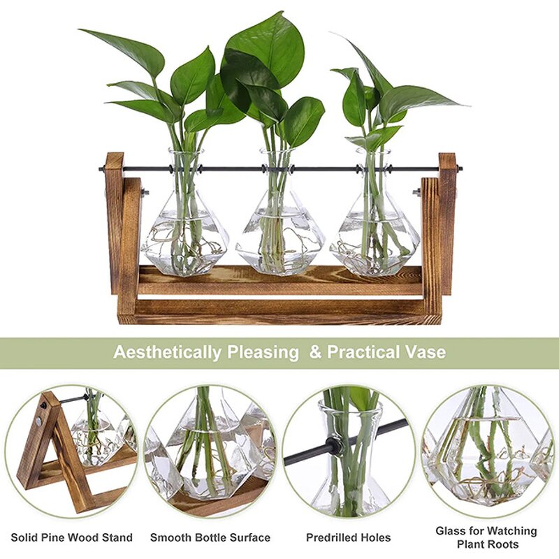 Glass Bulb Vase Factory - Wholesale Clear with Solid Wooden Stand Metal Swivel Holder
