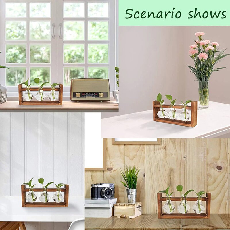 Cylinder-Shaped Terrarium Supplier - OEM/ODM Dropshipping Desktop Glass Planter Wooden Stand