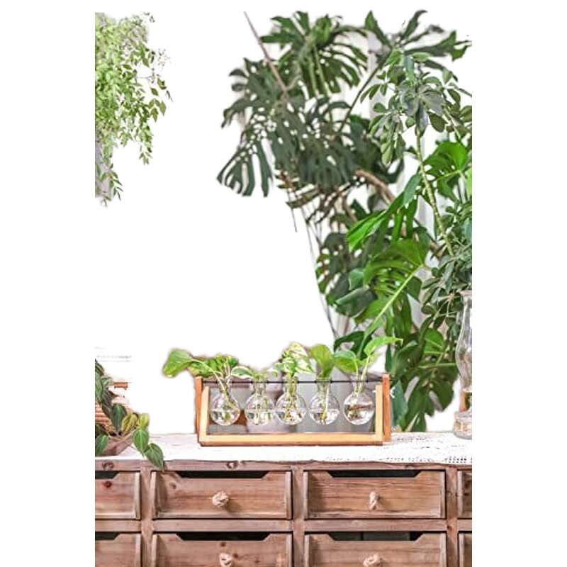 Hydroponic Planter Manufacturer - OEM/ODM New Retro-Style with Wooden Stand Air Bulb Vase