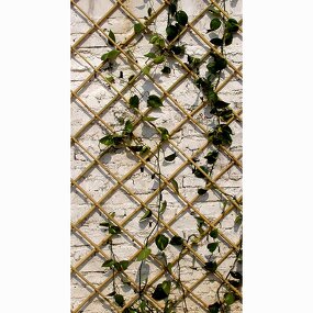 Bamboo Expanding Trellis Factory - High Quality Customized Dual-Purpose Rodent Proof