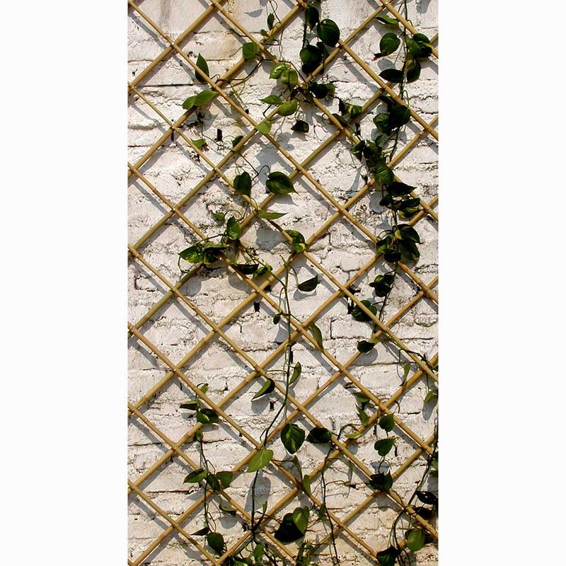 Bamboo Expanding Trellis Factory - High Quality Customized Dual-Purpose Rodent Proof