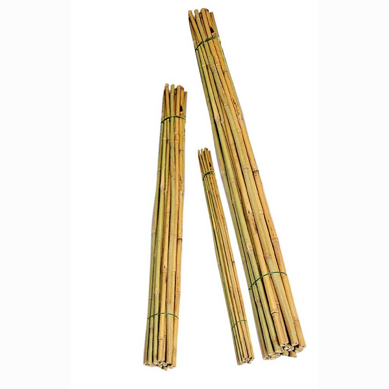 Bamboo Cane Supplier - Hot Sale New Style Dual Use Eco-Friendly Rot Proof