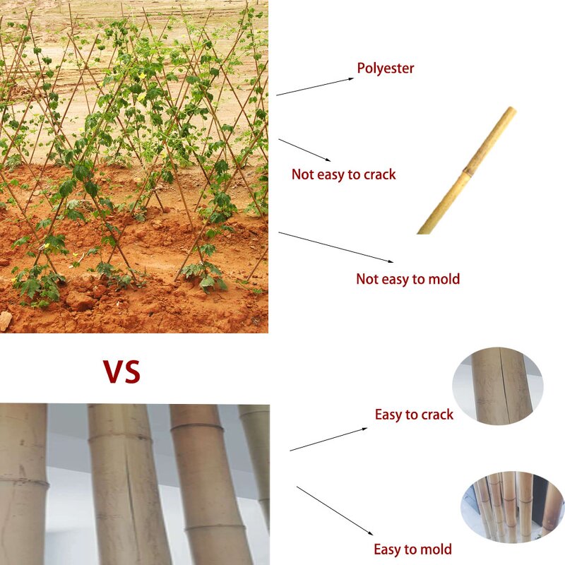 Bamboo Cane Supplier - Hot Sale New Style Dual Use Eco-Friendly Rot Proof