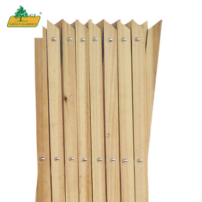 Wooden Extension Trellis Supplier - High-quality Customizable Corrosion Resistance Netting
