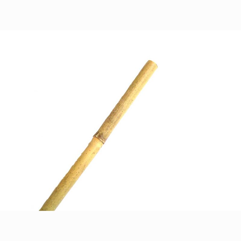 Bamboo Cane Supplier - Hot Sale New Style Dual Use Eco-Friendly Rot Proof