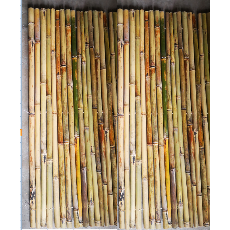 Bamboo Poles Garden Fence Factory - Professional Cheap Eco Friendly Natural Dried
