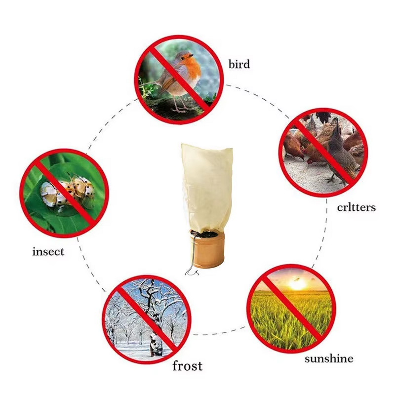 Winter Cold Cover Supplier - Factory Direct PP Non-Woven Warm for Outdoor Plants