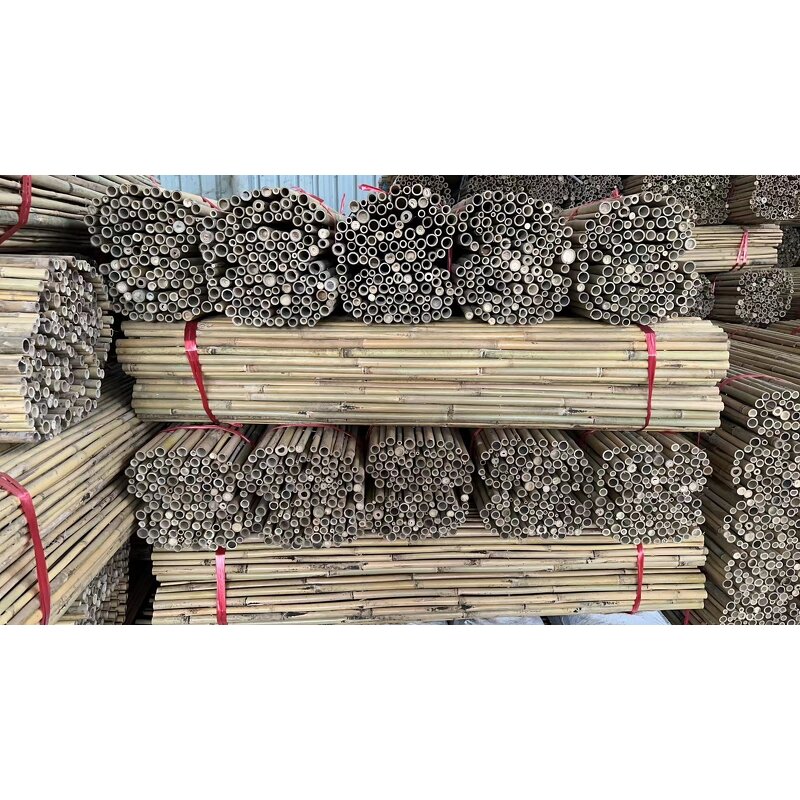 Bamboo Poles Garden Fence Factory - Professional Cheap Eco Friendly Natural Dried