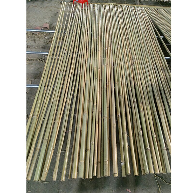 Bamboo Poles Garden Fence Factory - Professional Cheap Eco Friendly Natural Dried