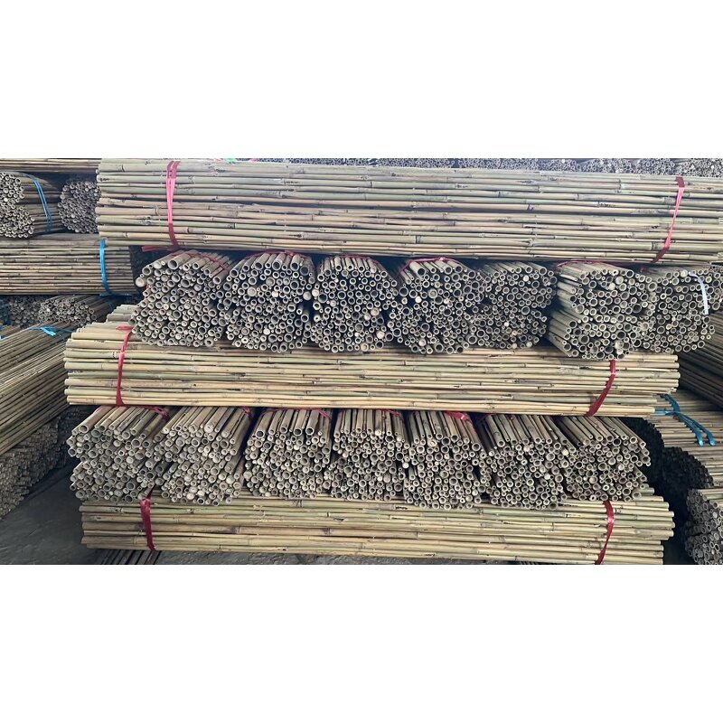 Bamboo Poles Garden Fence Factory - Professional Cheap Eco Friendly Natural Dried