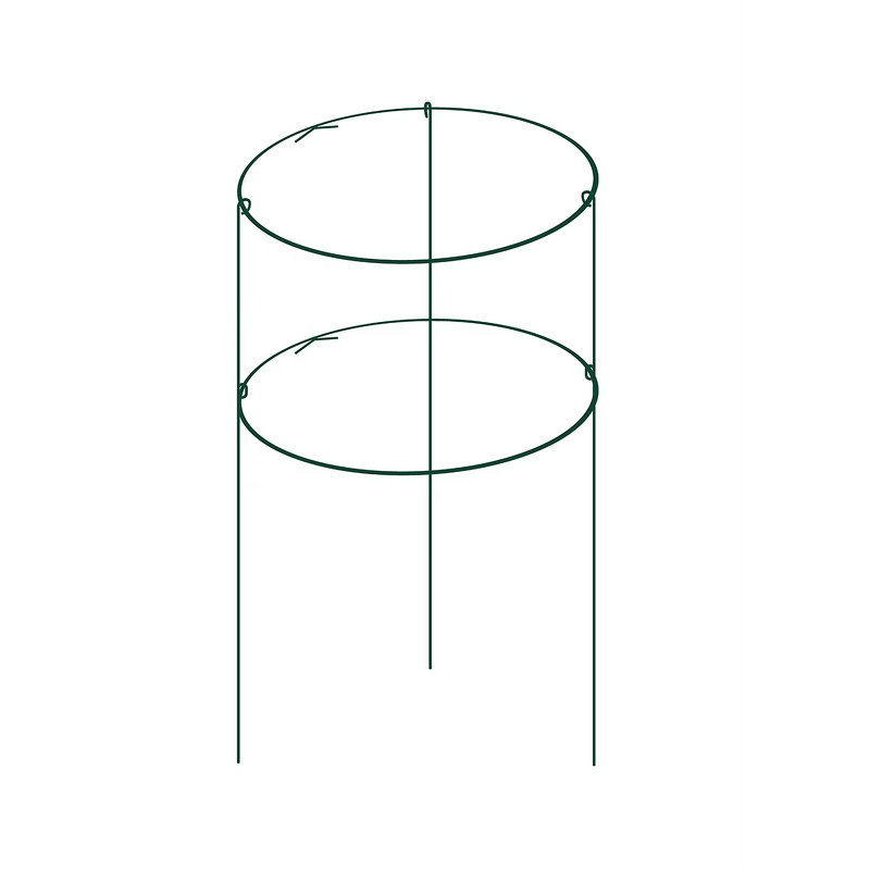 Flower Support Factory - OEM/ODM 2021 Factory Customized Climbing Plants Circle