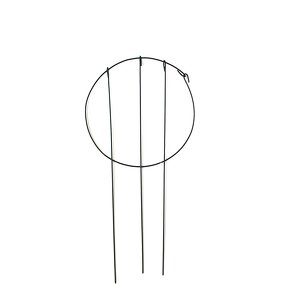 Flower Support Factory - OEM/ODM 2021 Factory Customized Climbing Plants Circle