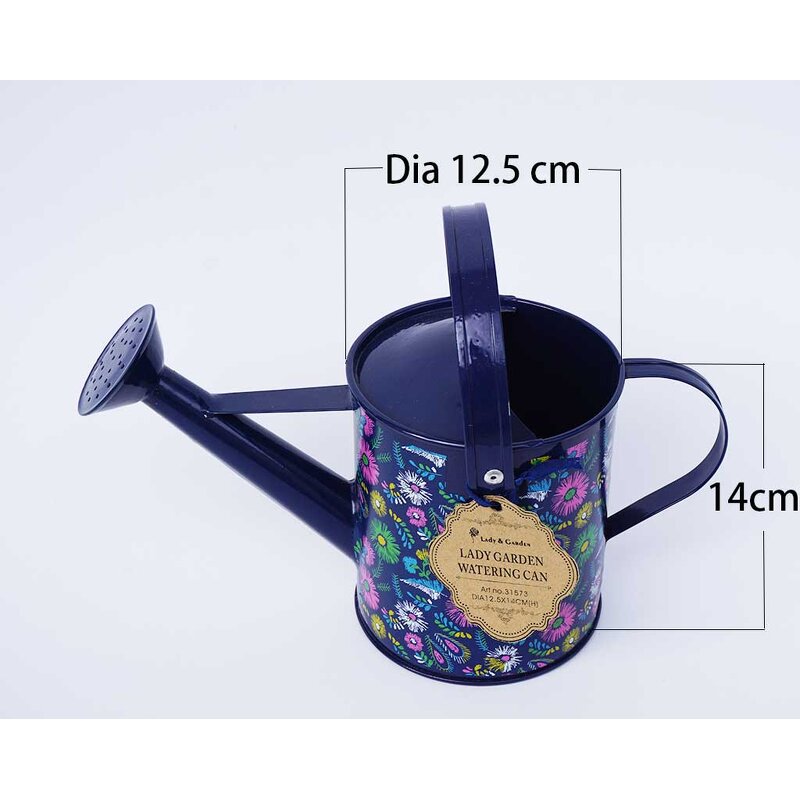 Metal Watering Can Factory - Excellent Manufacturer Stainless Steel Plant Lady Garden