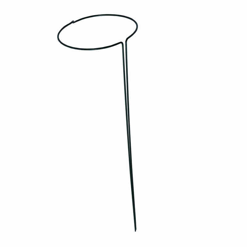 Flower Support Factory - OEM/ODM 2021 Factory Customized Climbing Plants Circle