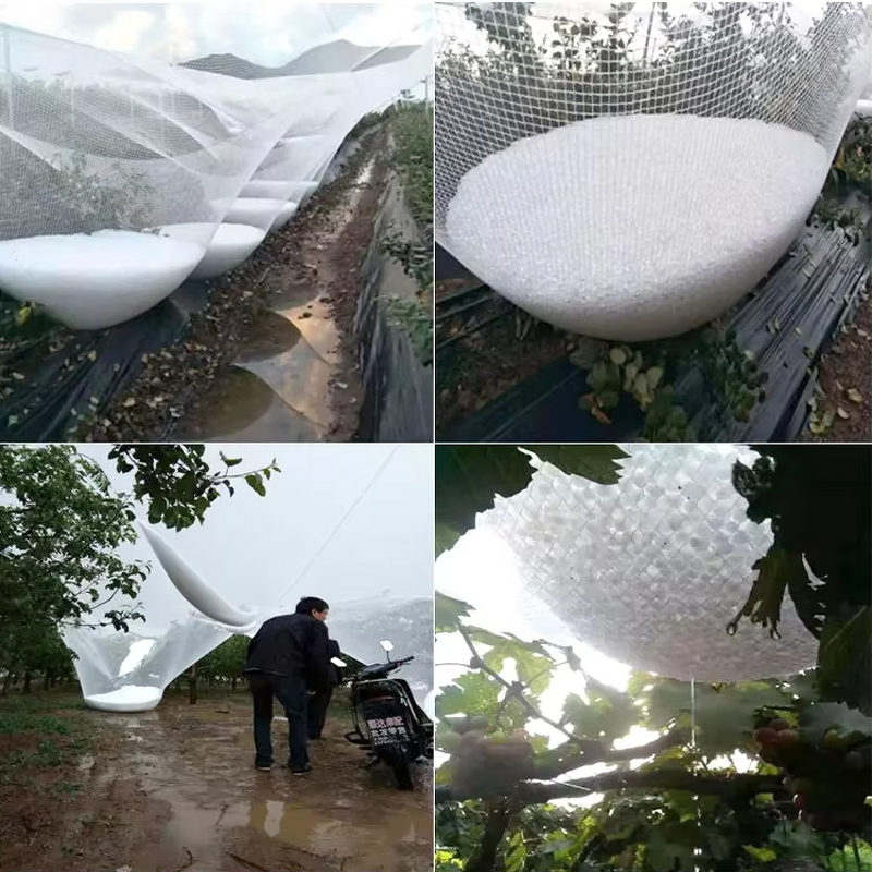 Hail Mesh Supplier - High Quality HDPE Anti-Hail Nets Portable Waterproof