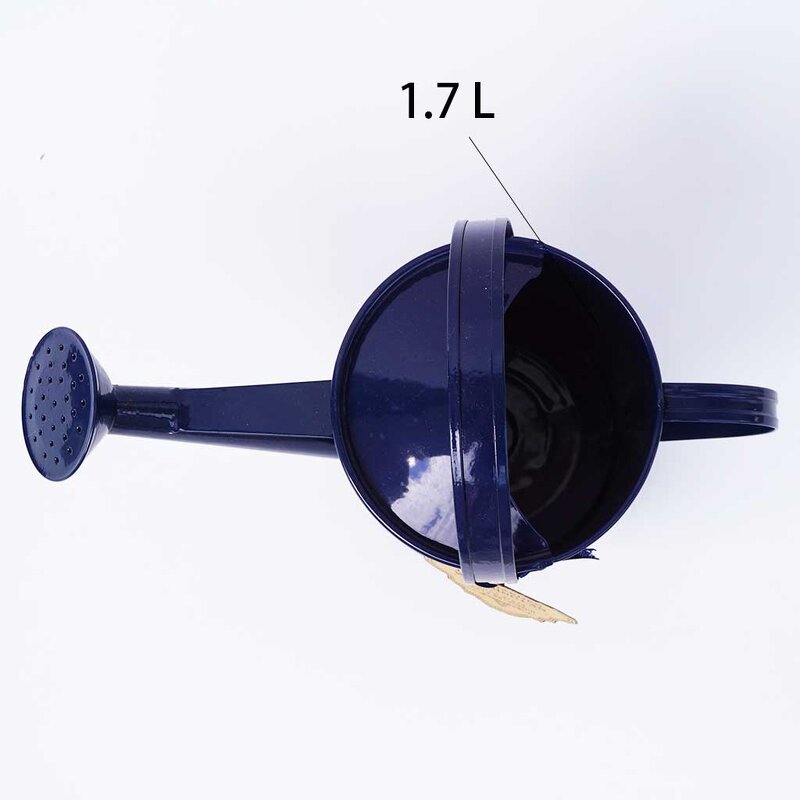 Metal Watering Can Factory - Excellent Manufacturer Stainless Steel Plant Lady Garden