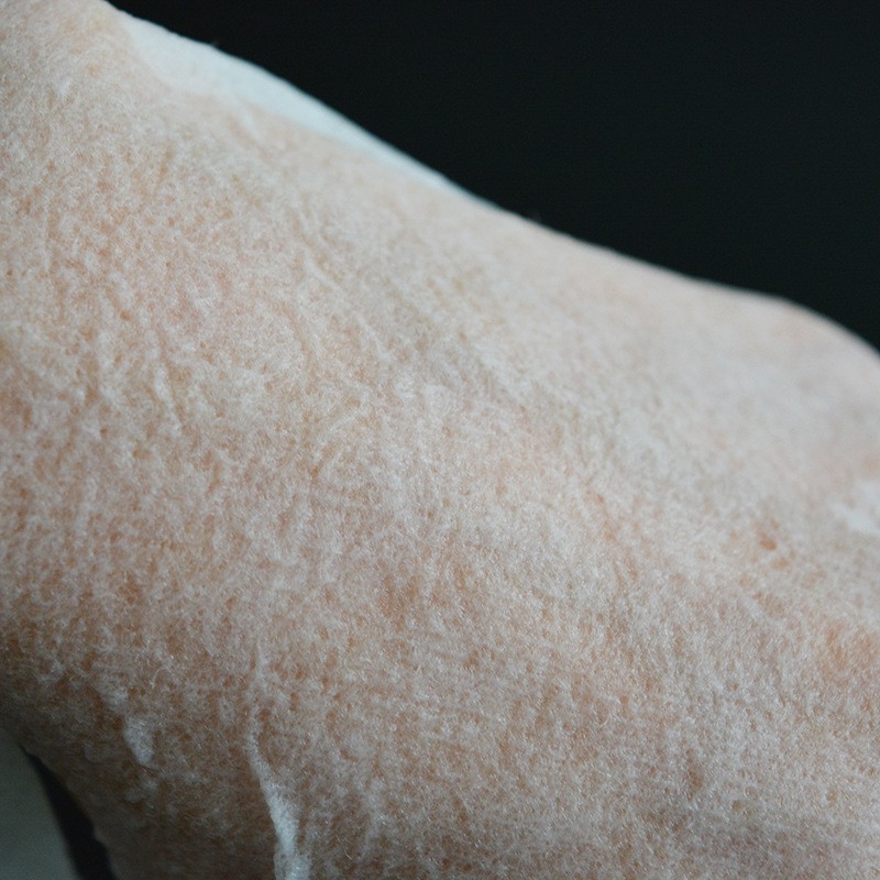 Compressed Mask Manufacturer - OEM DIY Facial Mask Sheet