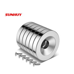 Rare Earth Ring Magnet Manufacturer - High Grade N52 Permanent Neodymium