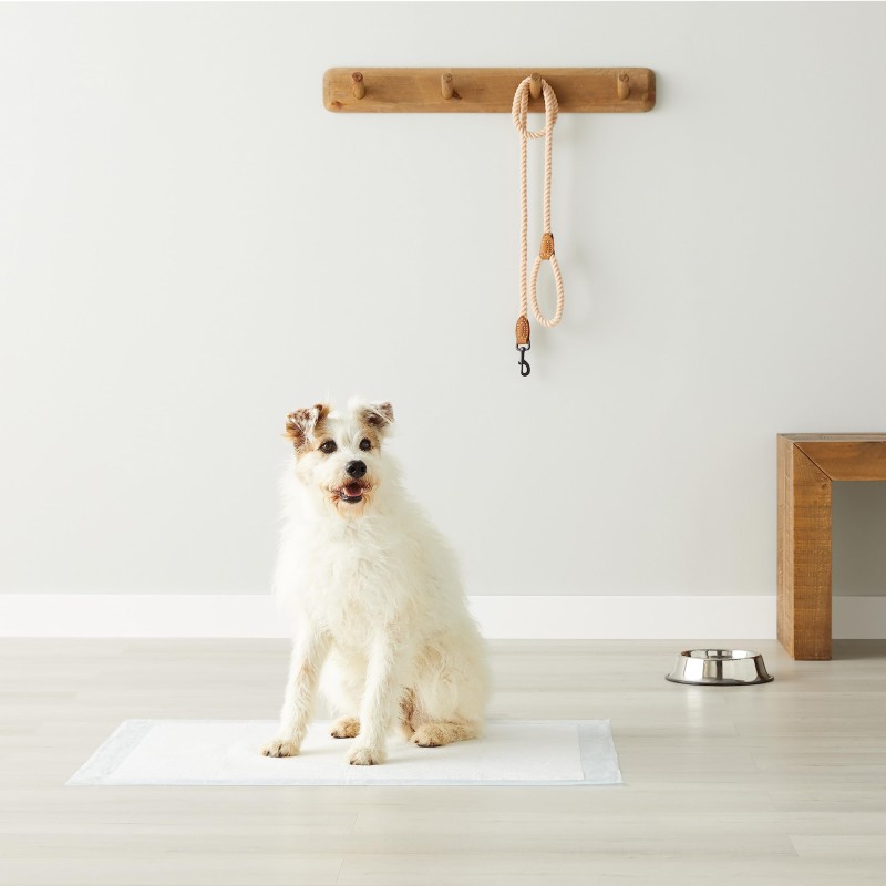 Pet Pee Pad Factory - OEM Leak Proof Bamboo Plastic