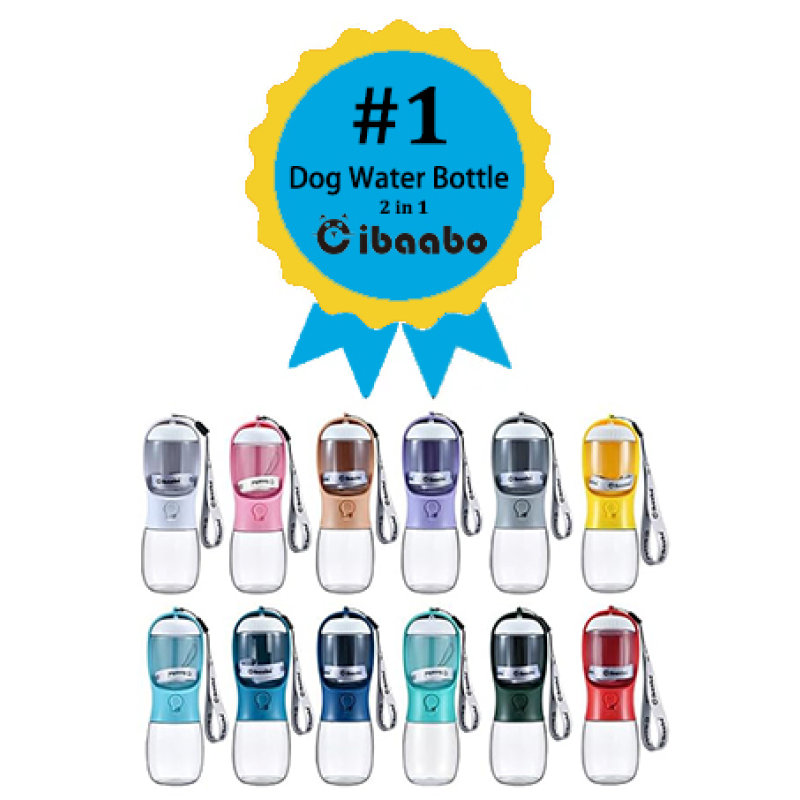 Dog Bowl Manufacturer - OEM 4 in 1 Eco Friendly Box