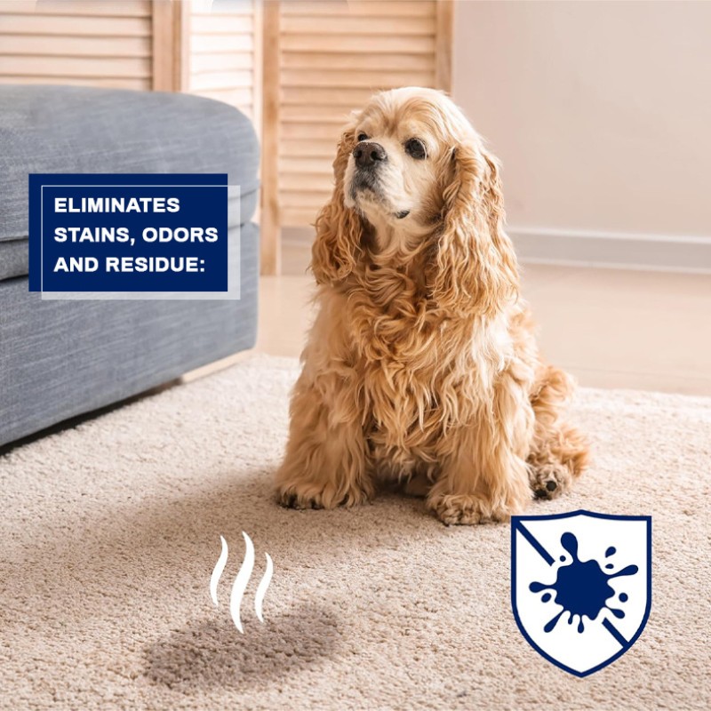 Carpet Deodorizing Spray Factory - OEM Pet Odor Remover